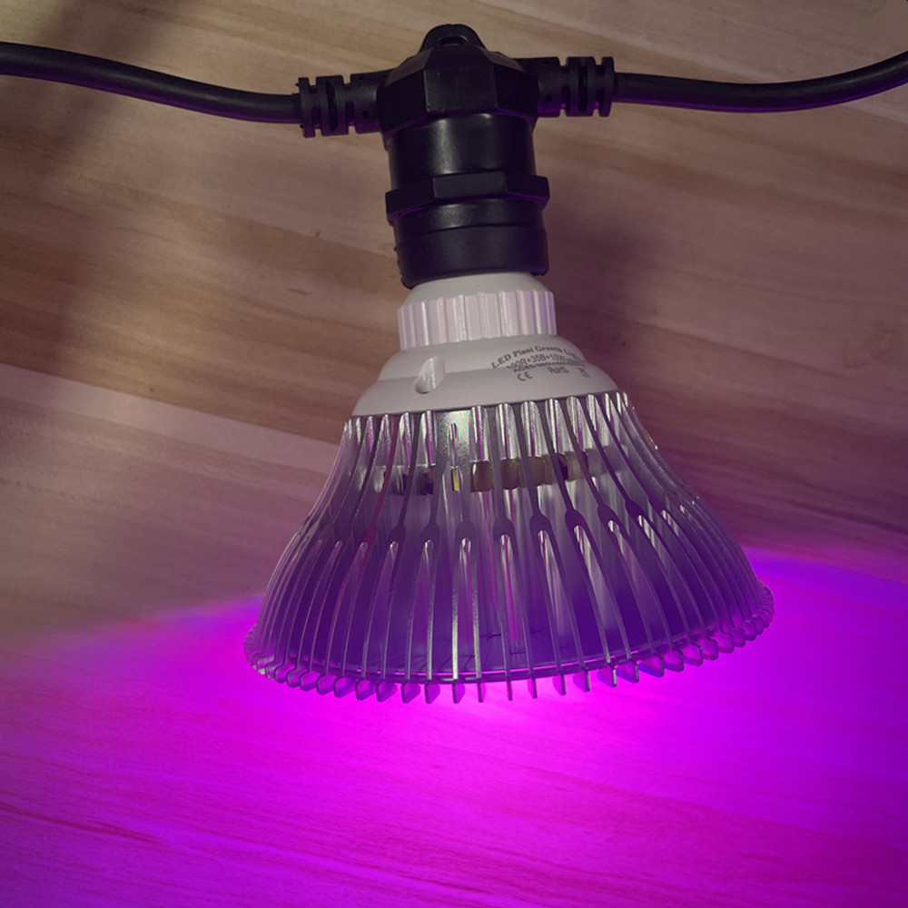 10M Cable LED String Commercia - đánh giá và giá Outdoor Lighting Diy